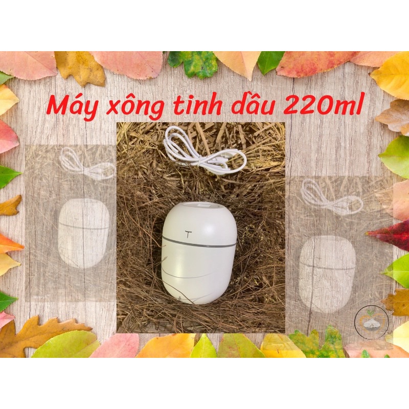 Máy xông tinh dầu mini 220ml, máy khuếch tán tinh dầu siêu rẻ, bảo hành 1 đổi 1
