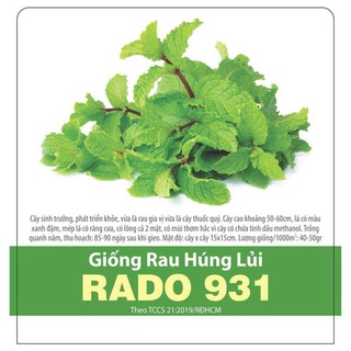 Rau Húng Lủi RADO 931 (Húng bạc hà) gói 0.2g