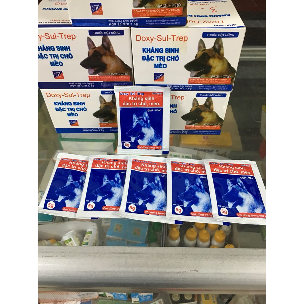 10 gói  kháng sinh chó mèo