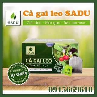 Cà Gai Leo Trà Túi Lọc 150g Hộp 60 gói x 2,5g