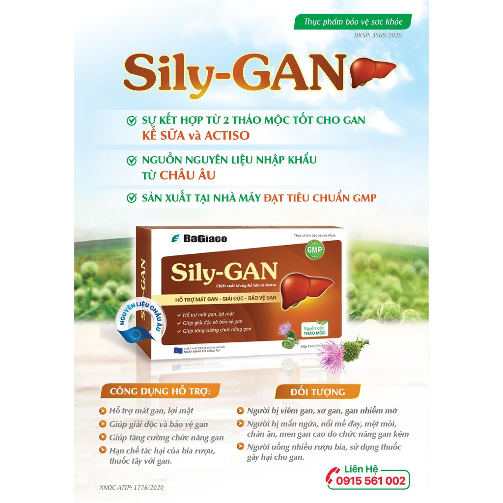 Sily-gan – Hỗ trợ mát gan, giải độc, bảo vệ và tăng cường chức năng gan (30 viên)
