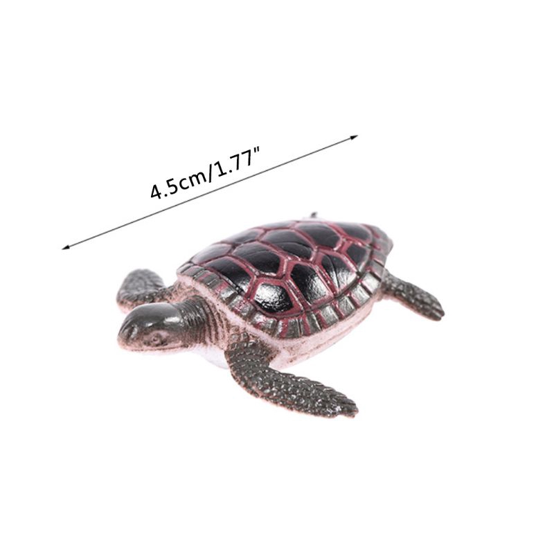 Bộ 12 Mô Hình Rùa Đồ Chơi Cho Bé