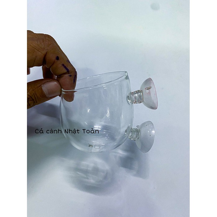 CỐC ĐỂ TRỒNG CÂY THỦY SINH 6CM