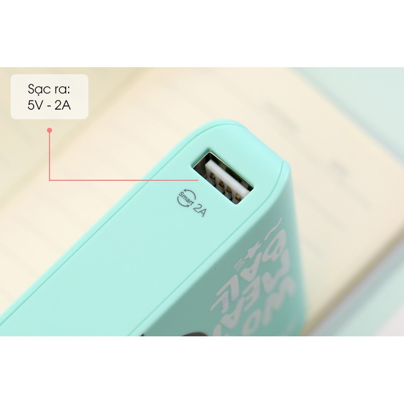 Pin sạc dự phòng 10000mAh 10.000mAh AVA Gấu Trúc TS-D151 - Likenew