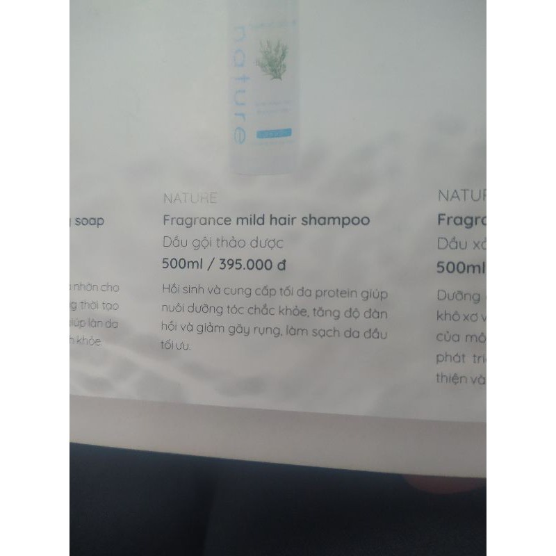 Dầu gội thảo dược Naris Nature Fragrance Mild Hair 500ml