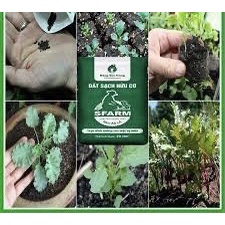 Đất SFARM Hữu Cơ Sạch Chuyên Trồng Rau Cao Cấp - Bao 20dm3