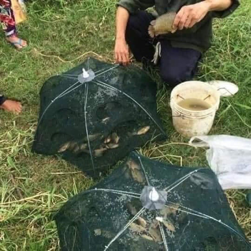 1 Lồng Ô Bát Quái