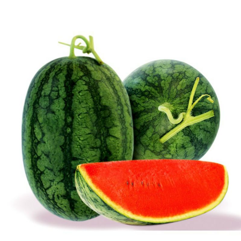Hạt giống dưa hấu tiểu long - gói 5gr