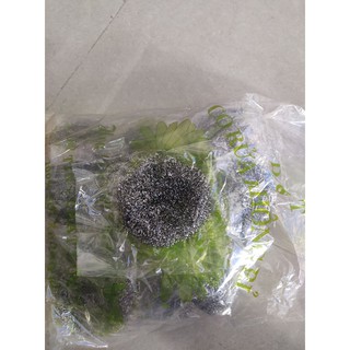 Sét 1 túi 15 búi cọ xoong sắt tem xanh