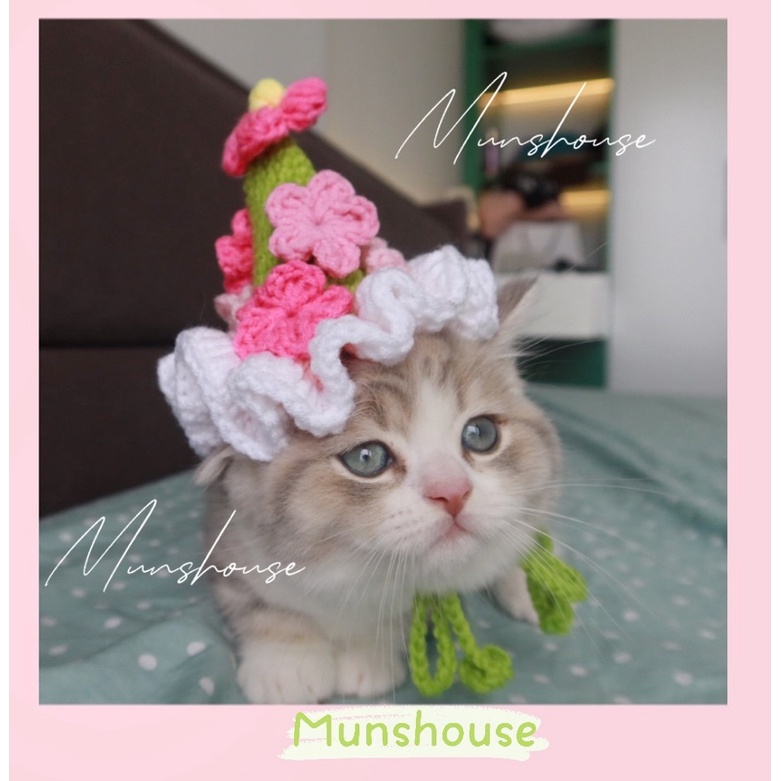 Set mũ chóp + yếm hoa xinh cho thú cưng