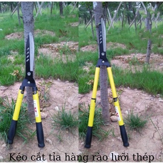 Kéo Cắt Tỉa Hàng Rào Lưỡi Thép, Cán Vàng- Hàng Nội Địa Trung Chính Hãng