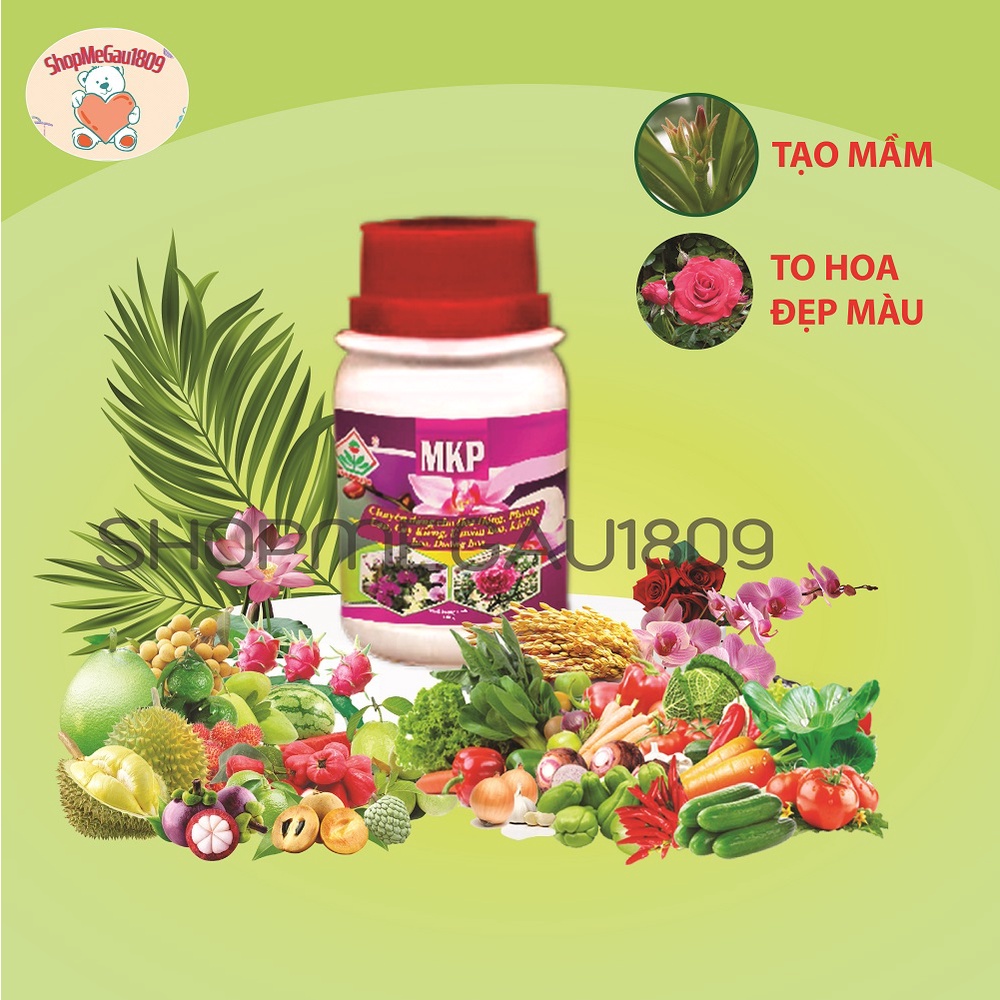 Phân bón MKP chai 100g_Chuyên gia tạo mầm hoa