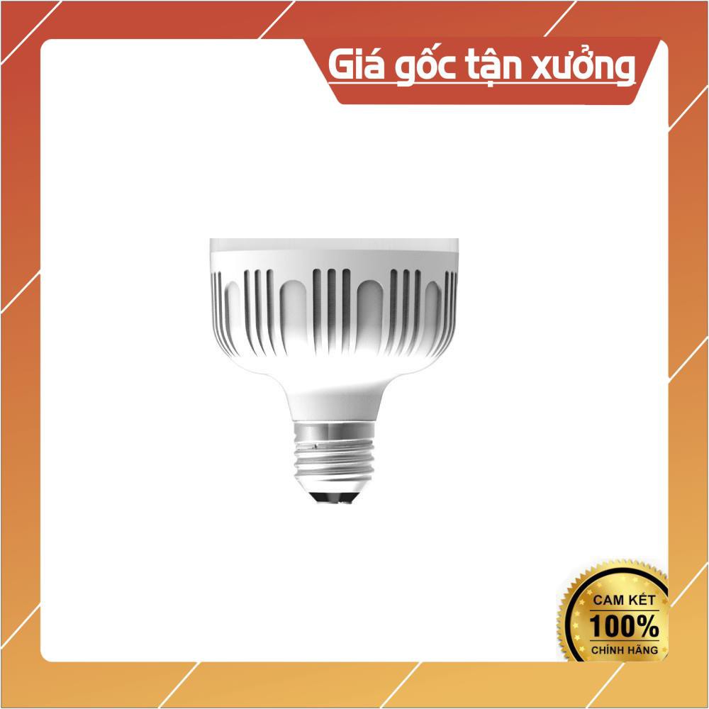 Đèn LED bulb công suất lớn Điện Quang ĐQ LEDBU10 50765AW (50W daylight, chống ẩm) . }