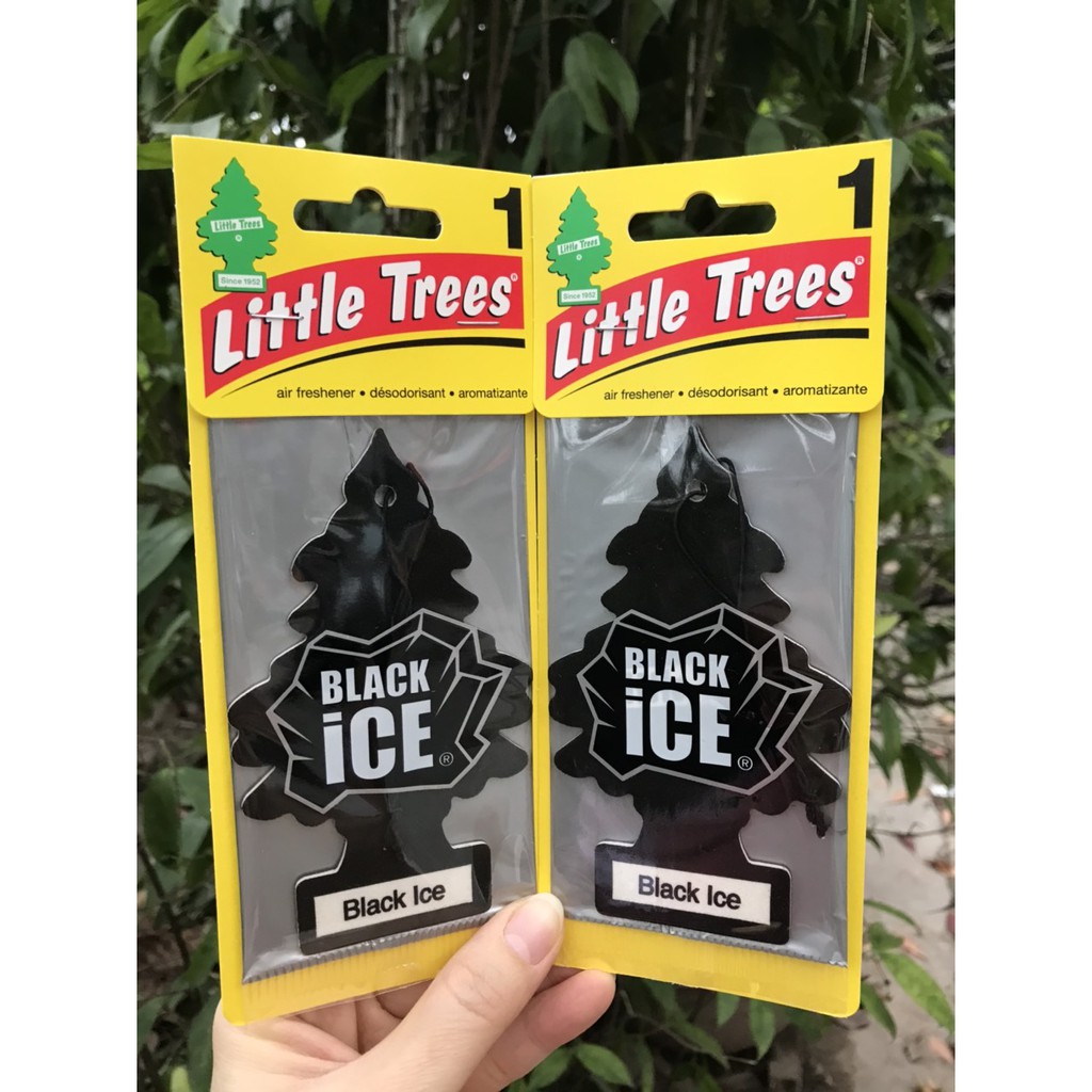 CÂY THÔNG THƠM LITTLE TREES BLACK ICE (MỸ)