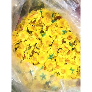 Sỉ Mai Đào trang trí tết xuân