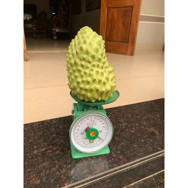 Mãng Cầu Na Sầu Riêng Độc Lạ