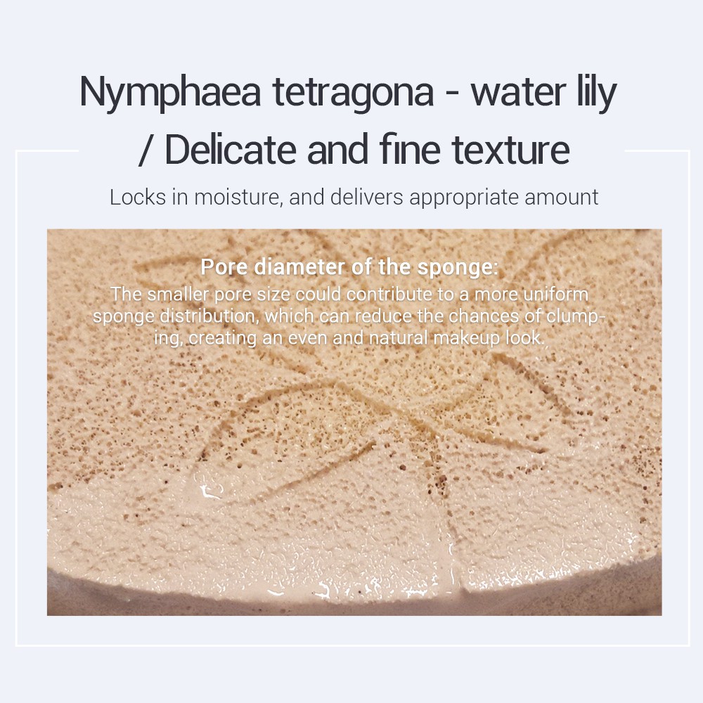 SOONPURE Concealer Brightening BB Liquid Foundation 15g | BigBuy360 - bigbuy360.vn