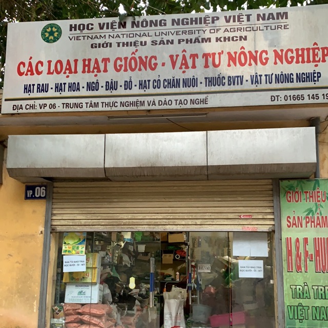 HẠT GIỐNG - VẬT TƯ NÔNG NGHIỆP