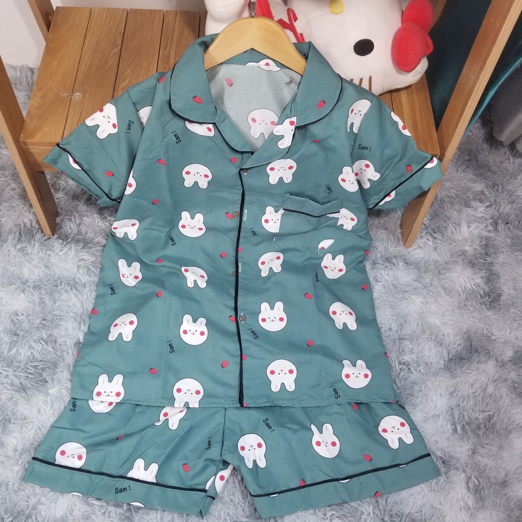 BỘ ĐỒ PIJAMA 💖FREESHIP💖 Bộ mặc nhà nữ mềm mát, hoạ tiết xinh, tay ngắn quần đùi | BigBuy360 - bigbuy360.vn