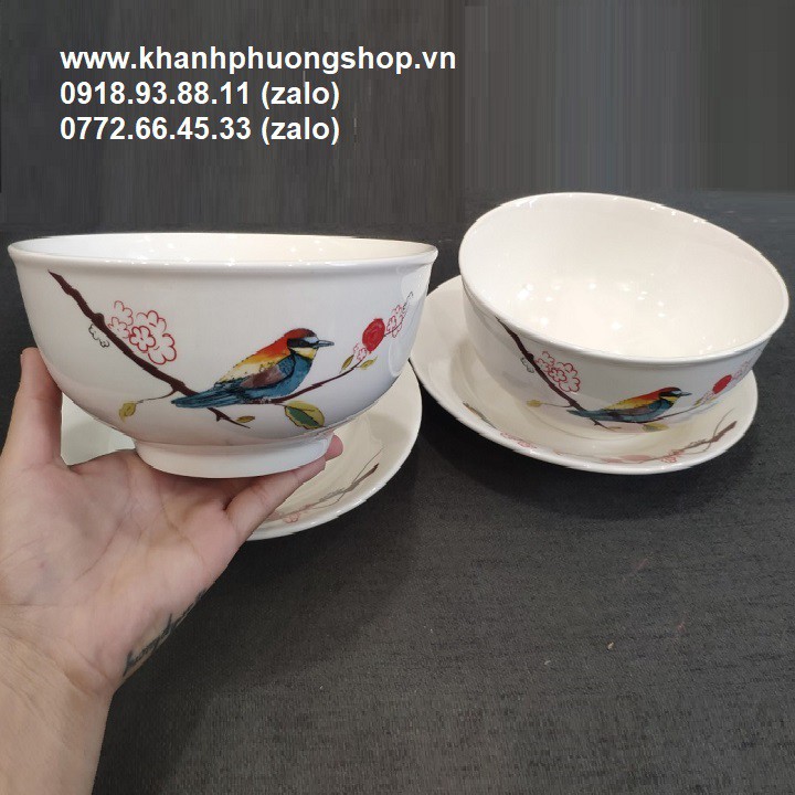 tô sứ - tô sứ trắng