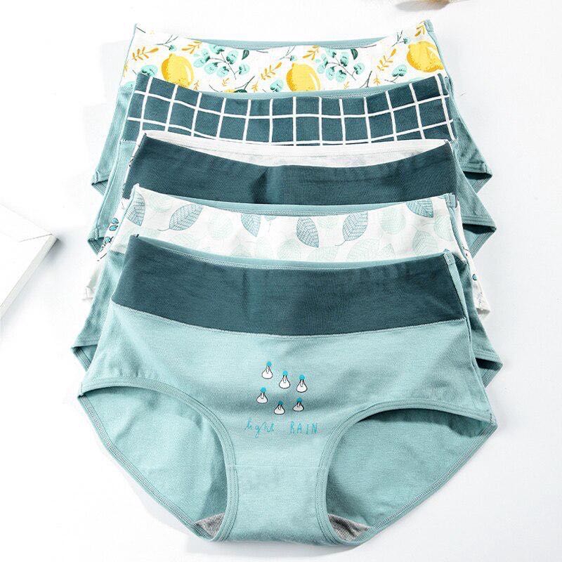 Bộ 5 quần lót cotton thời trang nữ