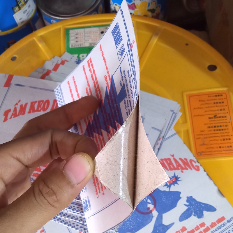 Keo dính ruồi, keo bẫy ruồi siêu dính