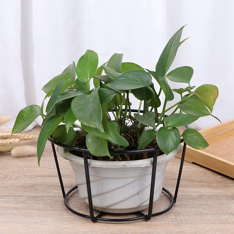 Set 4 Giá Đỡ Chậu Hoa / Cây Cảnh Bằng Kim Loại Gắn Hàng Rào Tiện Dụng