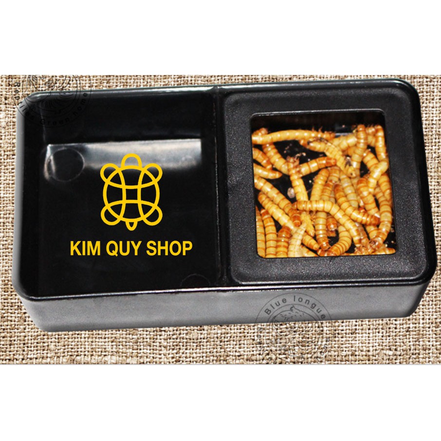 Chén đựng sâu cho bò sát