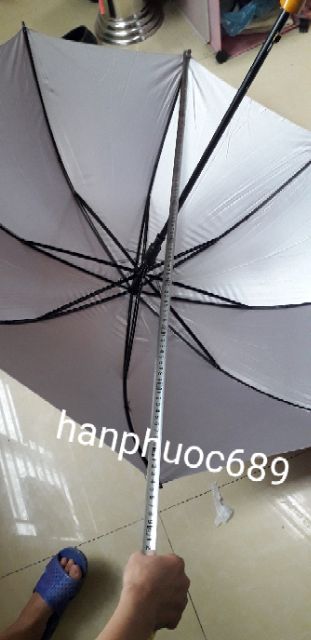 Sỉ Ô dù nan kép to đại ( 2 xương)