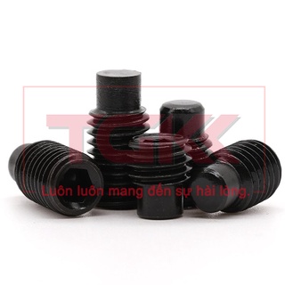 Vít trí đầu trụ thép đen M5 (20-30mm)