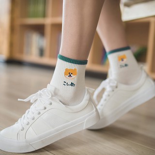 Vớ chó cao cổ (tất chó cao cổ) Dòng cao cấp