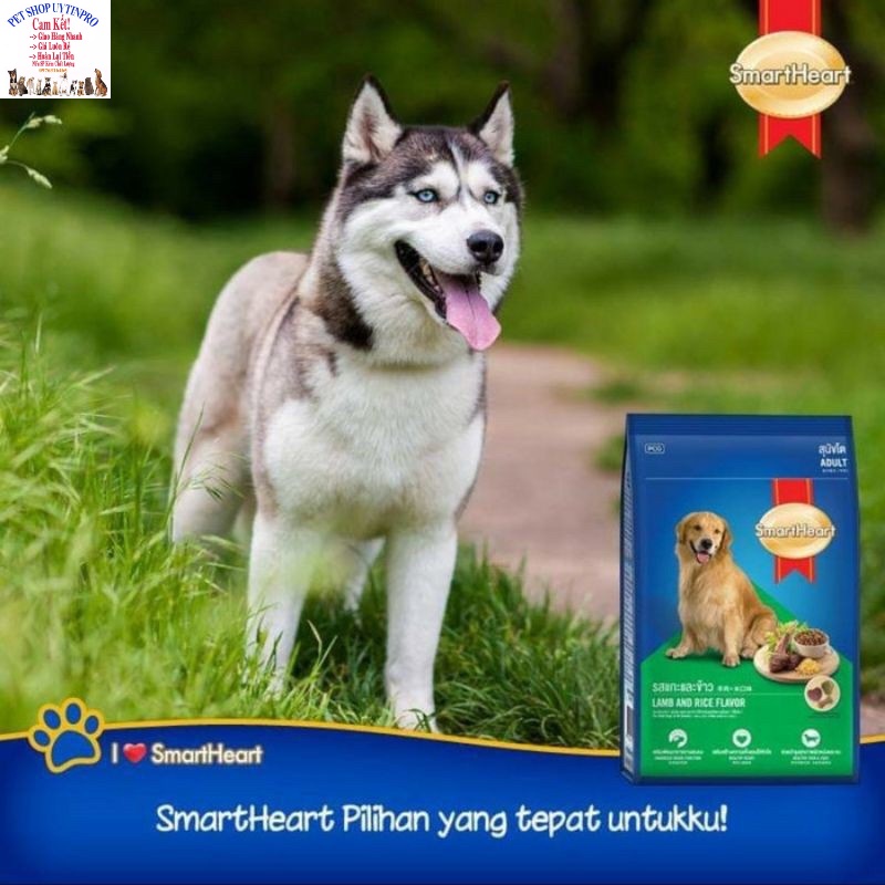 Thức ăn hạt cho Chó Smartheart Adult Lamb and Rice Flavor Vị Cừu và Gạo Gói 3kg Dinh dưỡng hoàn chỉnh Tốt cho tiêu hóa