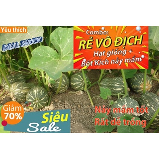 [Combo rẻ vô địch HẠT GIỐNG + GÓI HỖ TRỢ NẢY MẦM] - 3 HẠT GIỐNG BÍ ĐỎ HỒ LÔ