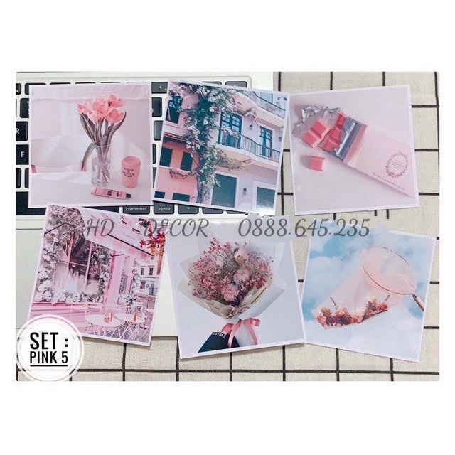 [ Ảnh thật ] Set thiệp postcard decor phòng màu Hồng PINK xinh lung linh ý hàng có sẵn