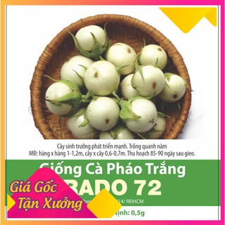 Hạt giống cà pháo trắng chất lượng, năng suất cao 0.5gr