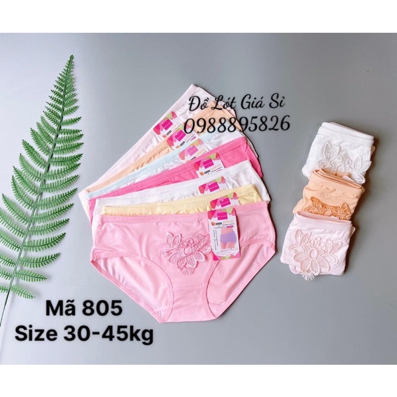 Combo 10 quần lót cotton mặc thoải mái