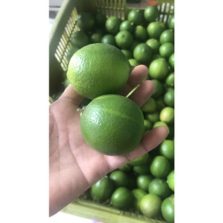 chanh tươi không hạt 1kg