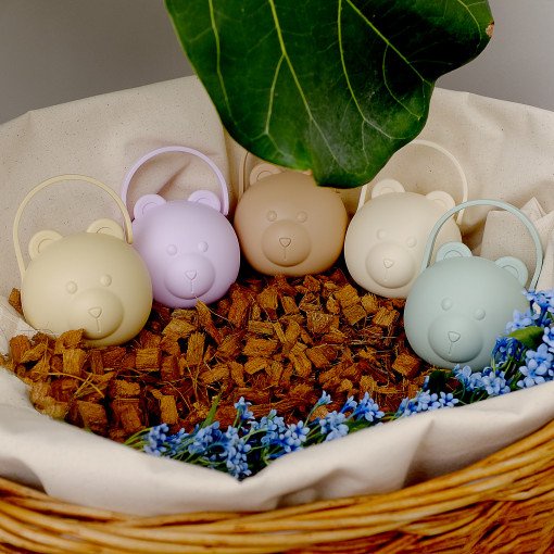 Hộp Đựng Ti Ngậm TGM Teddy Pacifier Chính Hãng Hình Gấu Không Lo Bám Dính Bụi, Dây Kẹp Ti G.i ả TGM Tiện Lợi Cho Bé