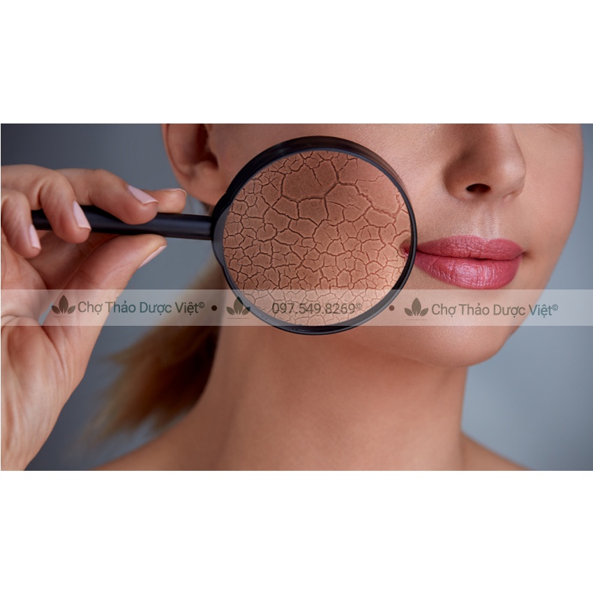 Set 10 loại bột cho da khô (Bột hữu cơ, mask cấp ẩm, dưỡng trắng, nâng cơ, chống lão hóa) - Chợ Thảo Dược Việt