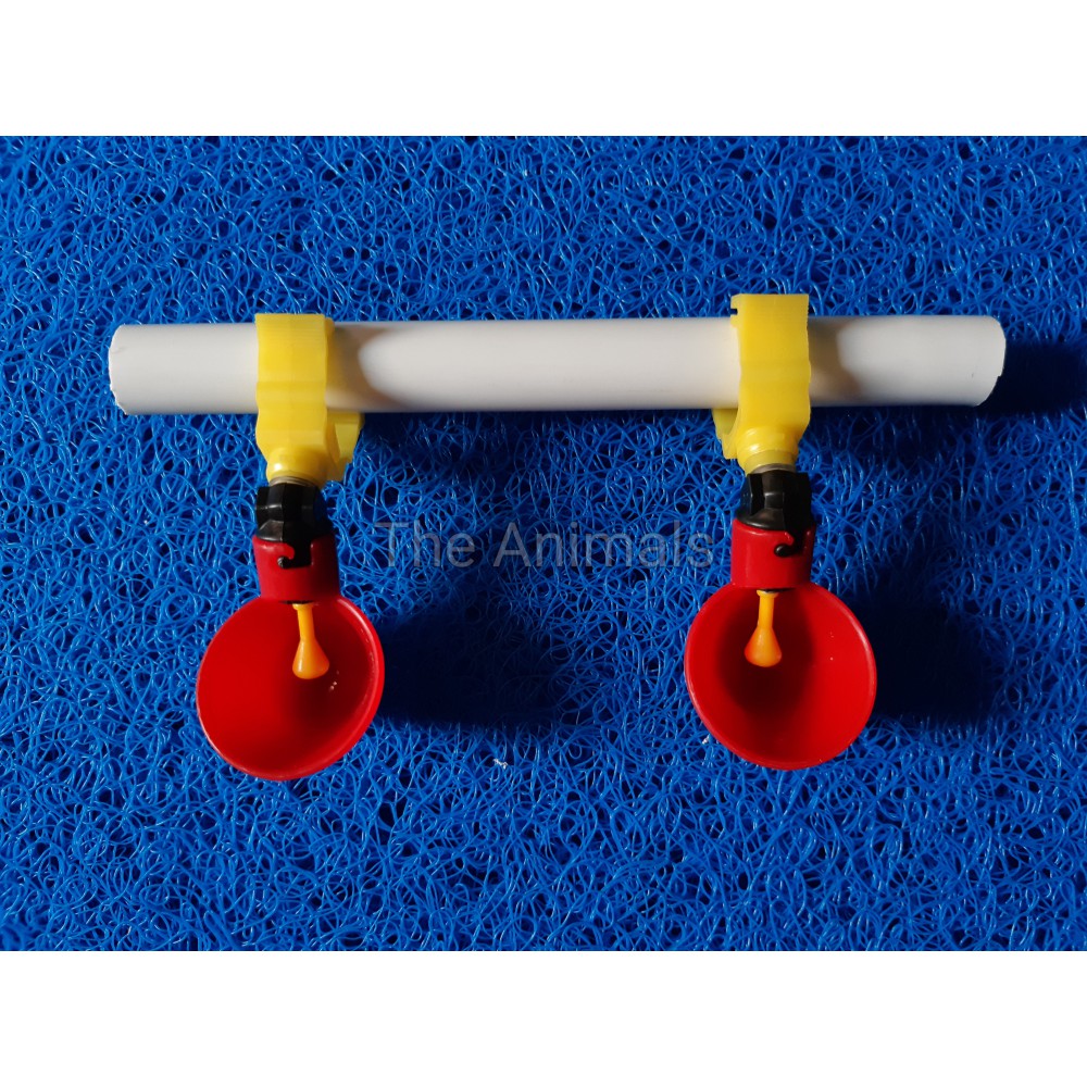 [Máng + Kẹp ống] Máng uống tự động cho gà, chim, vịt,....