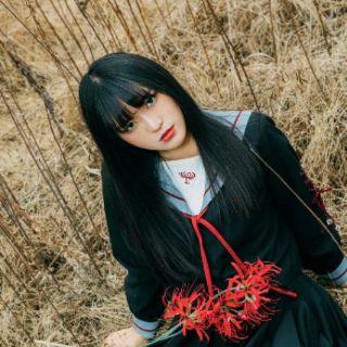 Hoa lụa - Bỉ ngạn hoa (ảnh thật)