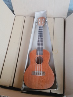 Đàn ukulele gỗ size concert