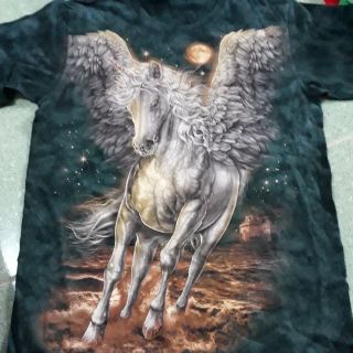 Combo 3 ao thái