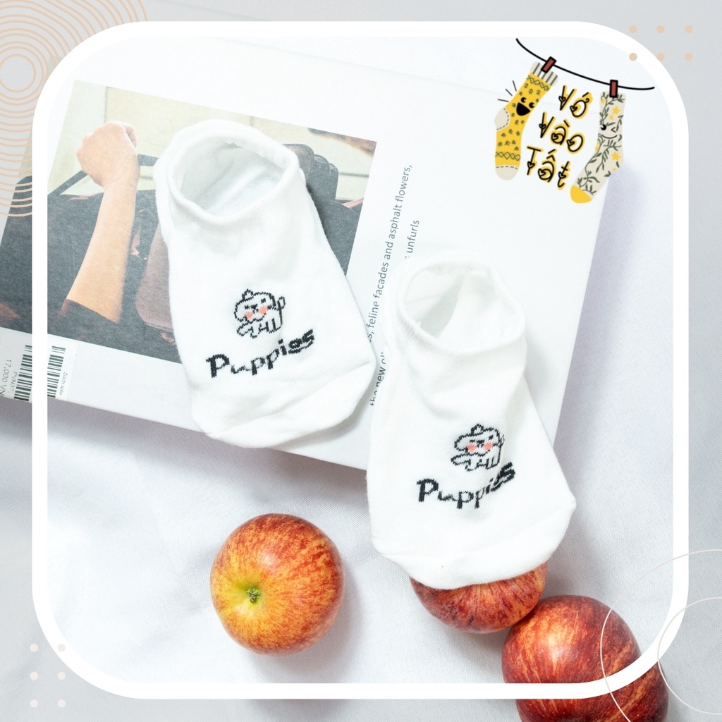 TẤT VỚ LƯỜI TRẮNG HÌNH HOẠT HÌNH NHỎ XINH