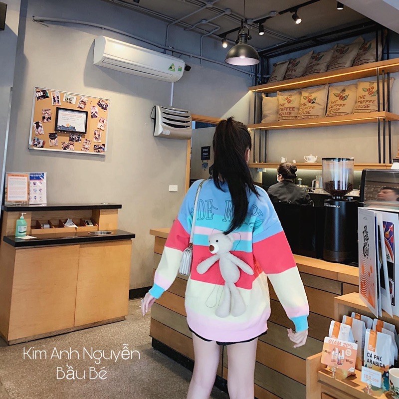 Áo nỉ Gấu Phối màu