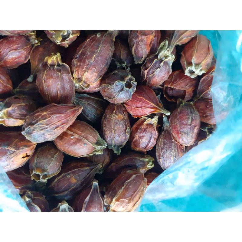100g quả dành dành khô/quả chi tử khô/ tạo màu vàng tự nhiên.