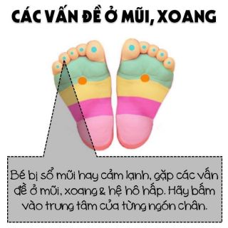 Cầu gai massage chân