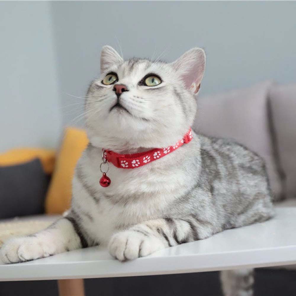 Vòng Cổ Gắn Chuông Dễ Thương Cho Thú Cưng