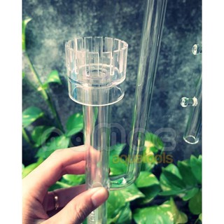 Bộ in-out thủy tinh f12 có lọc váng