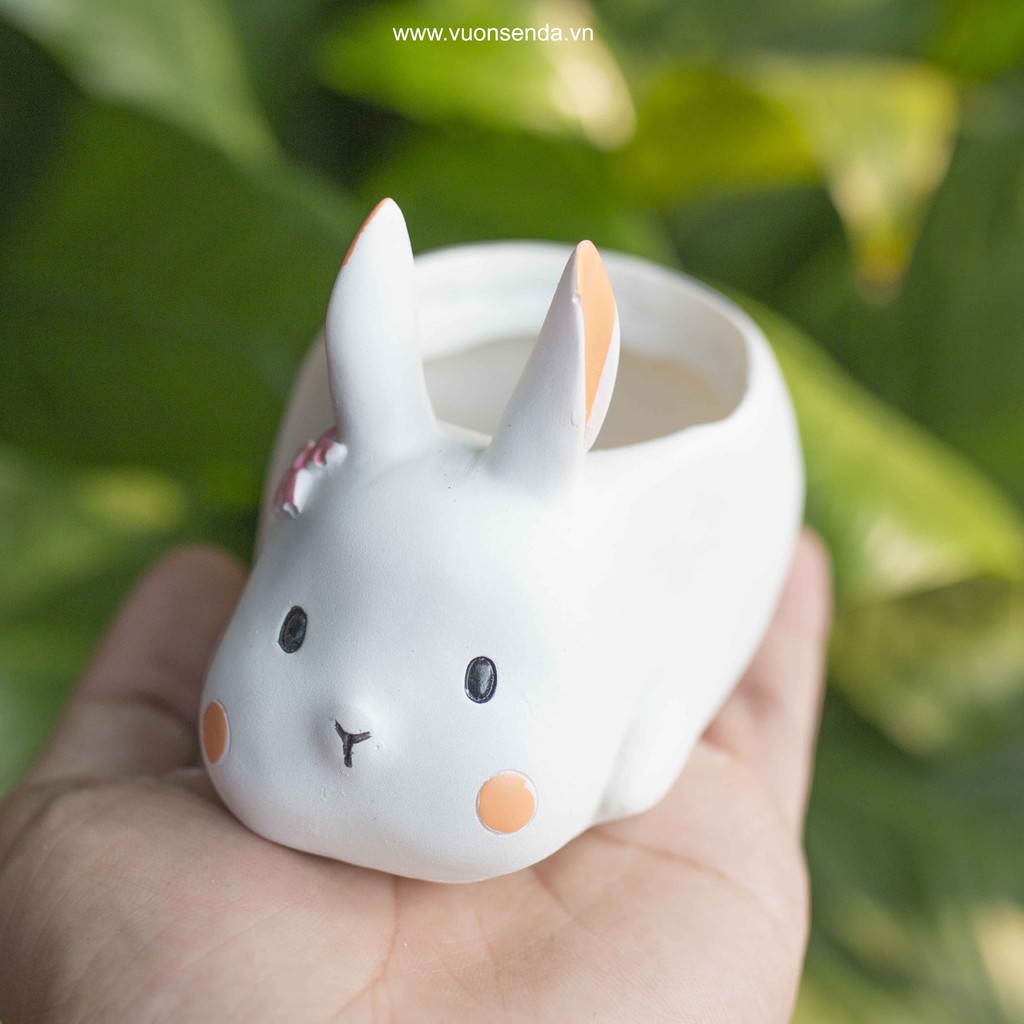 Chậu thỏ trắng (nhựa cứng) - Vườn sen đá